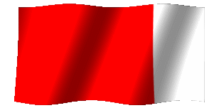 dubai flag